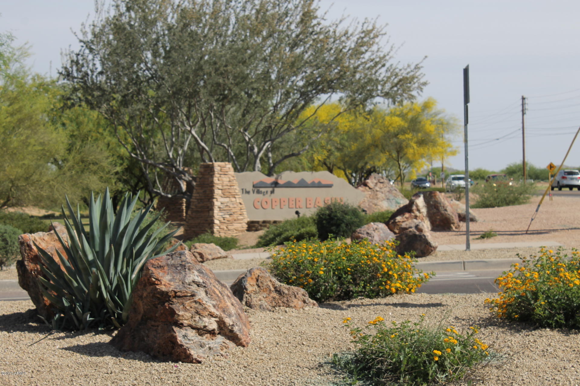 3949 East Mica Road San Tan Valley, AZ 85143 - Photo 32 of 51 IMG_4721.JPG