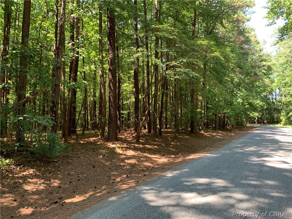 Lot 41 Wilton Creek Road Hartfield, VA 23071 - Photo 2 of 12 Lot 41 Wilton Creek Road offers a Scenic Drive