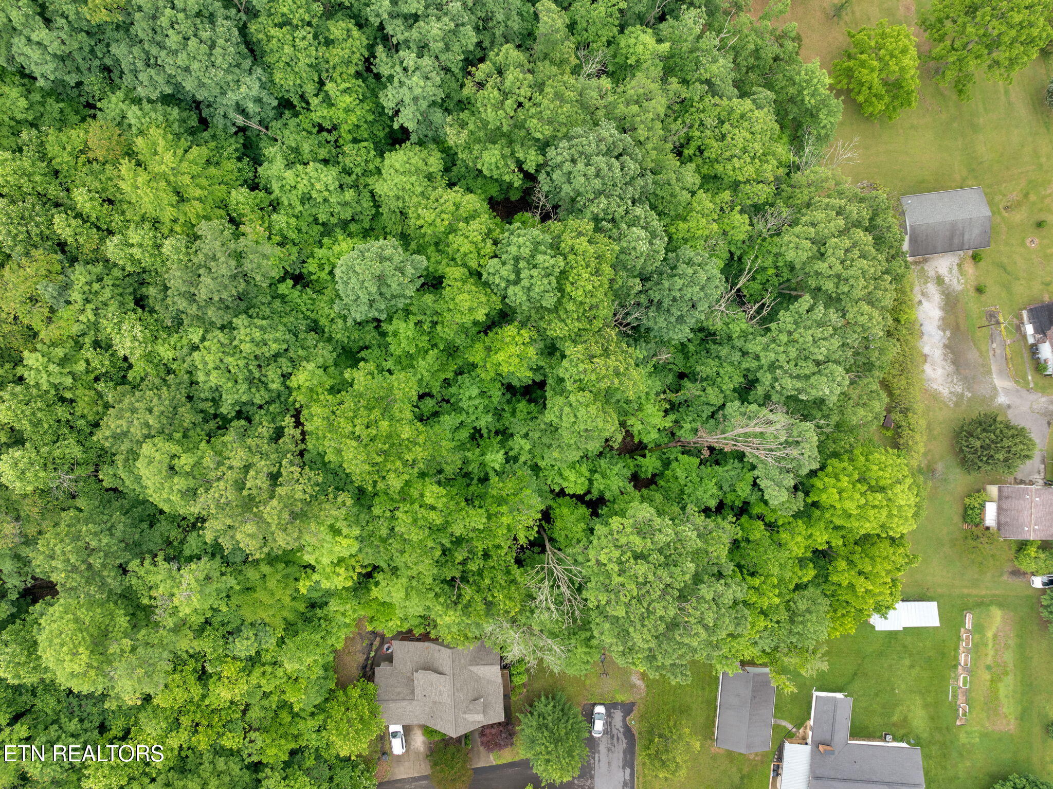 1684 Ridgeway Drive Kingsport, TN 37664 - Photo 15 of 23 Drone Photo