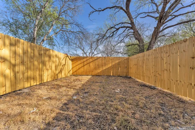 a view of a yard with a tree