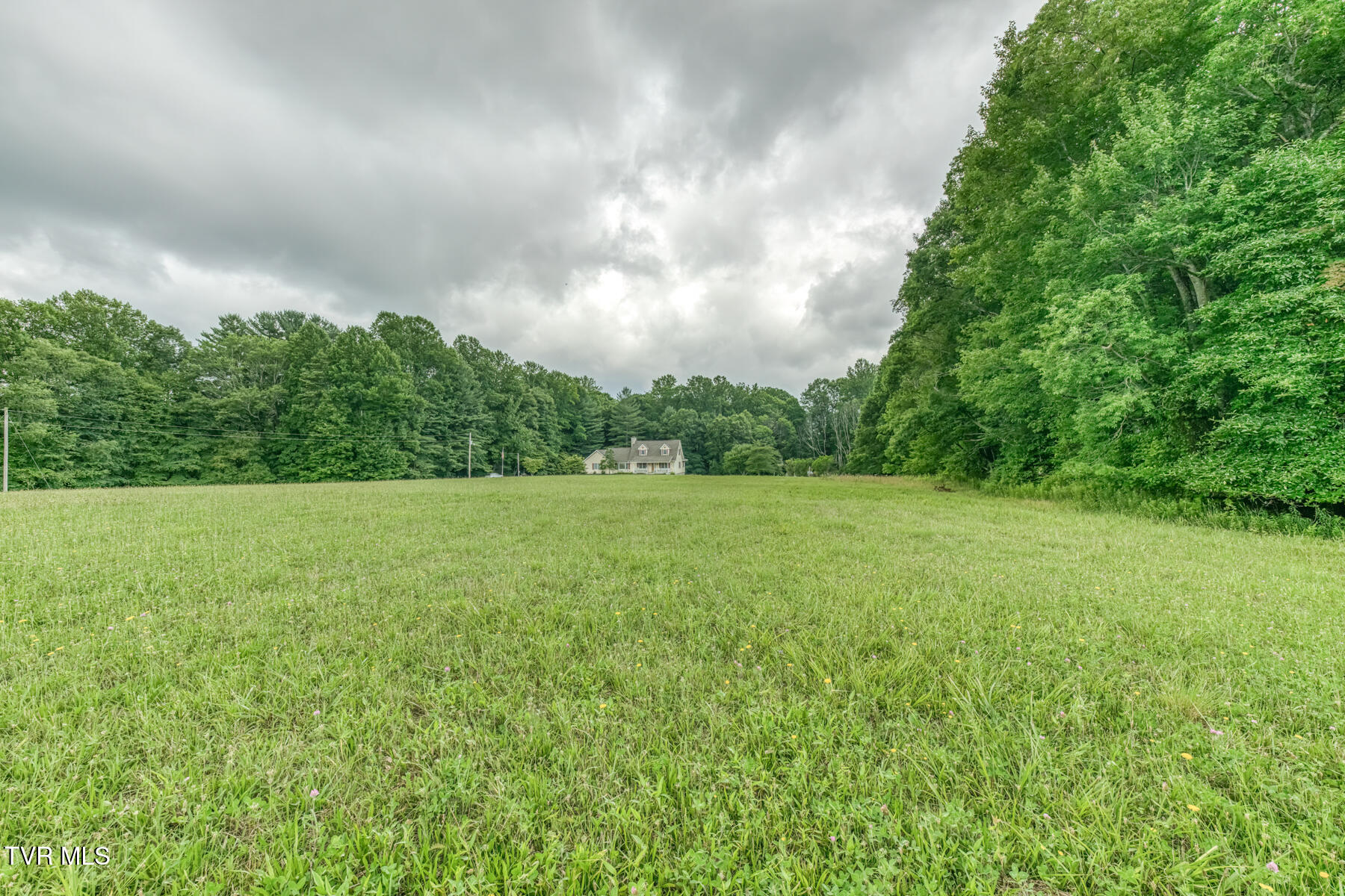 1678 Sluder Road Shady Valley, TN 37688 - Photo 88 of 110 1678 Sluder Rd-88