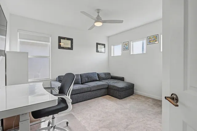 a view of a park with a palm tree