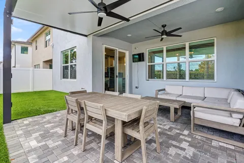 a view of a park with a palm tree