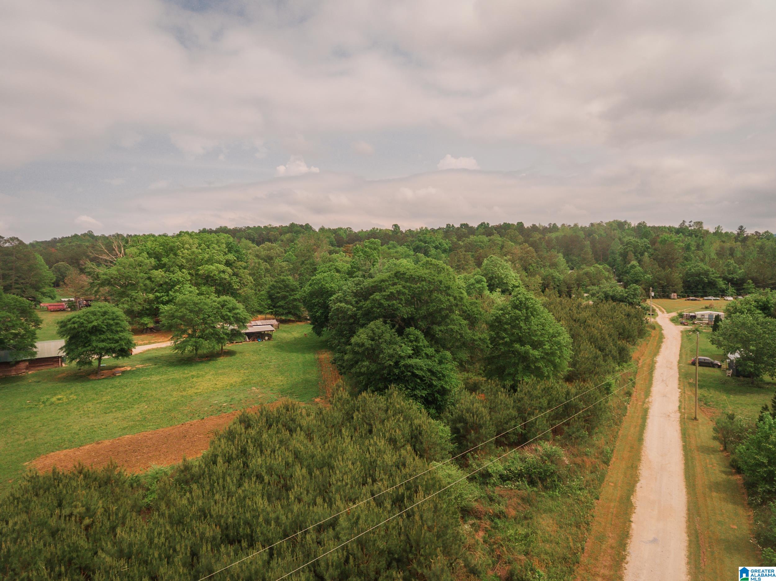 600 Possum Trot Road, Unit 10 34 Piedmont, AL 36272 - Photo 14 of 15