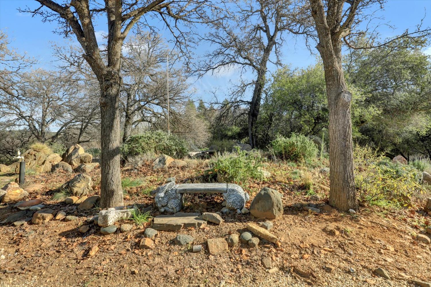 10428 Riffle Rough and Ready, CA 95975 - Photo 59 of 87