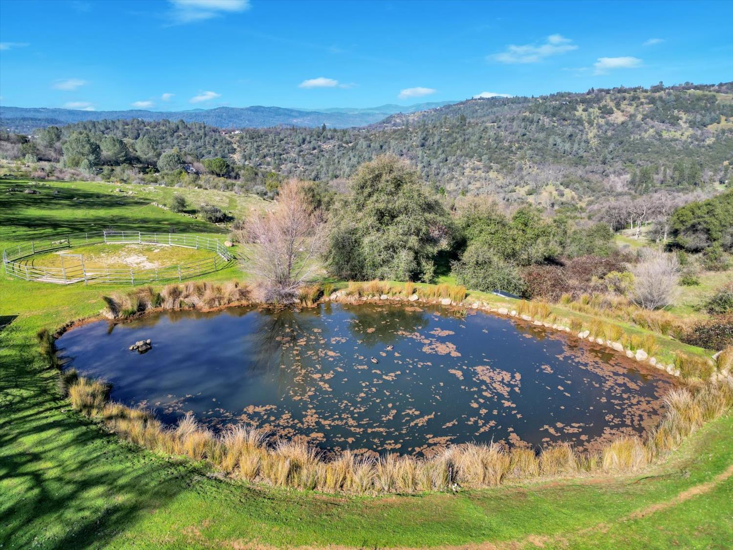 10428 Riffle Rough and Ready, CA 95975 - Photo 63 of 87