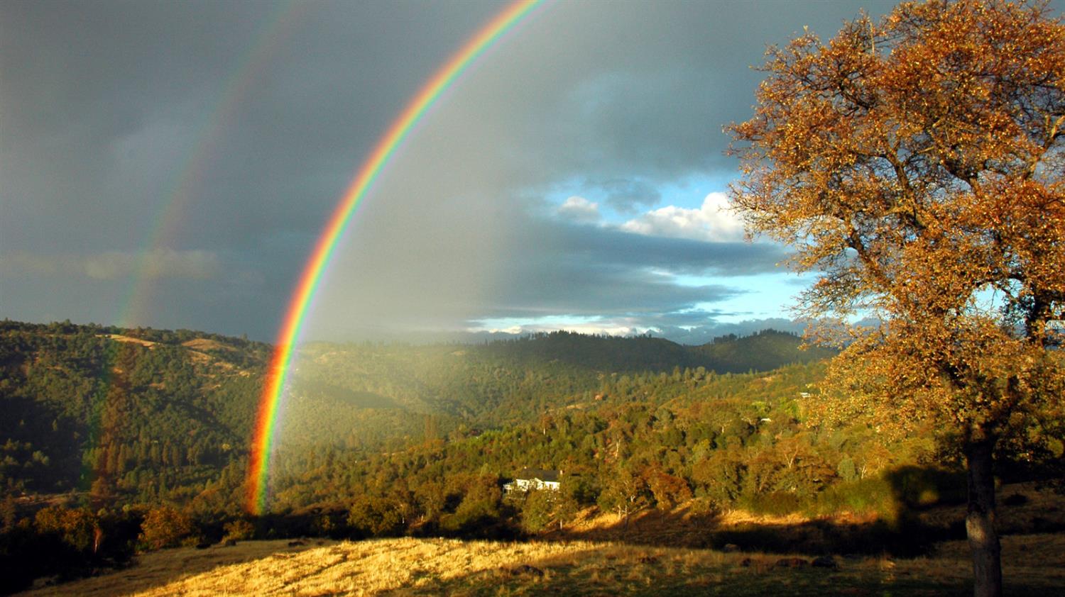 10428 Riffle Rough and Ready, CA 95975 - Photo 77 of 87