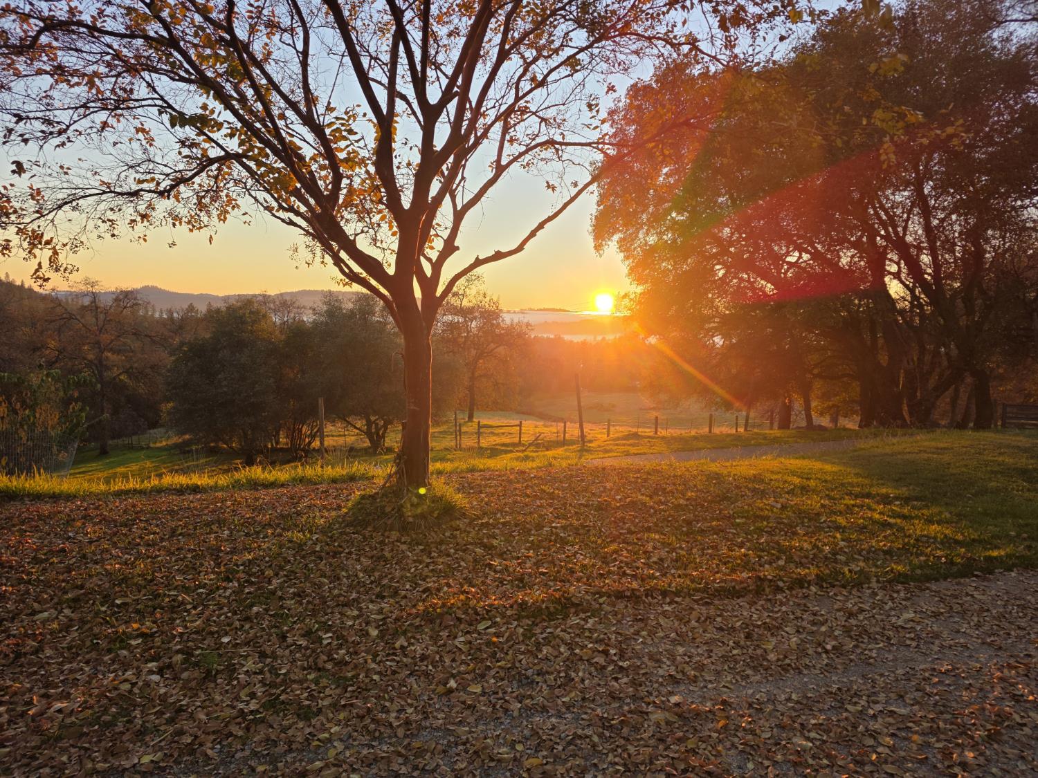 10428 Riffle Rough and Ready, CA 95975 - Photo 84 of 87