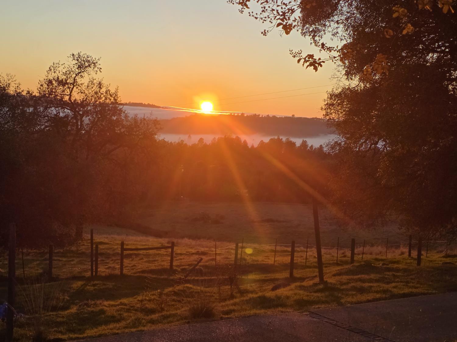 10428 Riffle Rough and Ready, CA 95975 - Photo 85 of 87