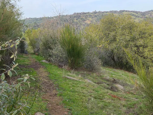 $895,000 | 10428 Riffle, Rough and Ready, CA 95975