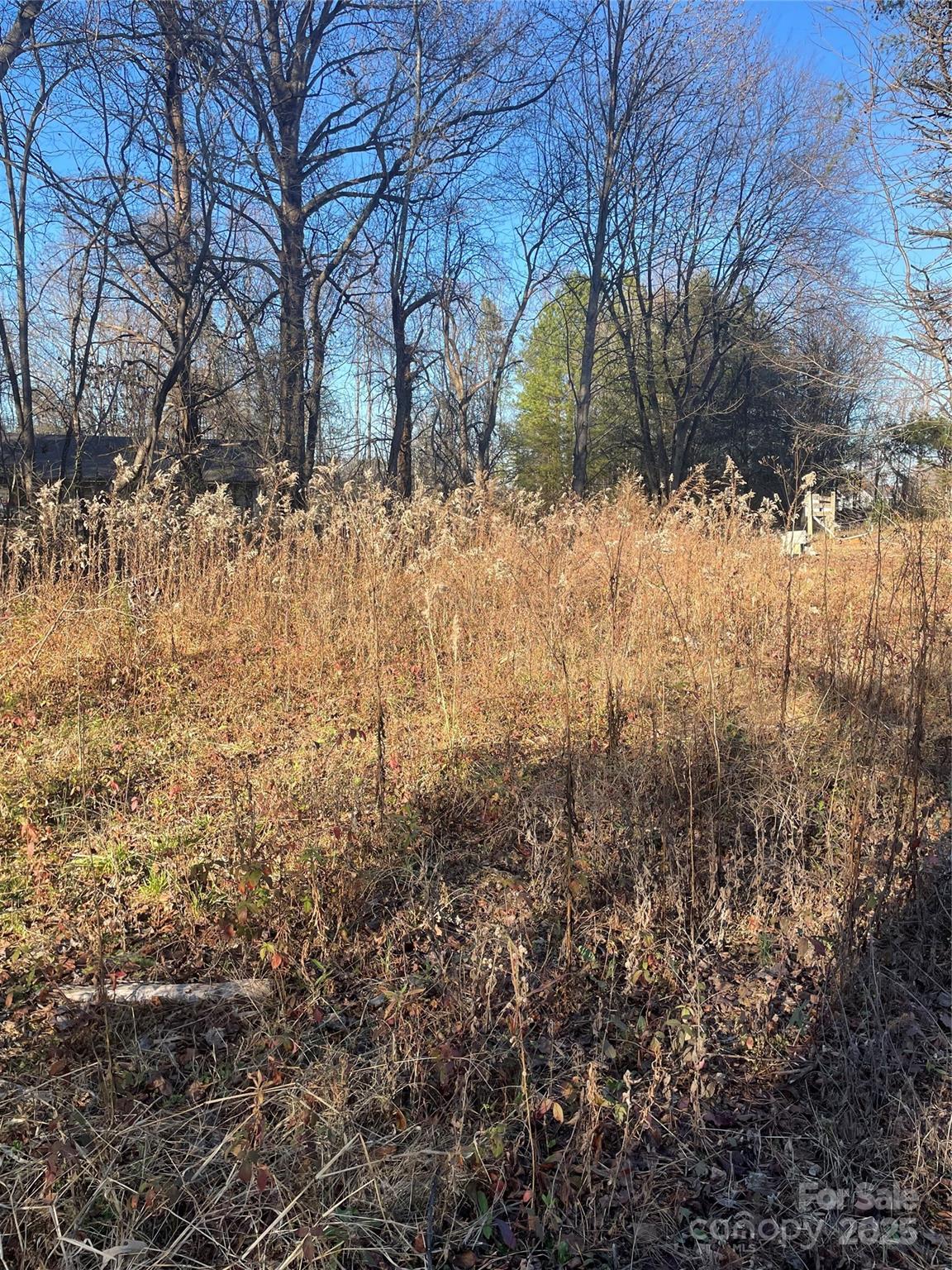 Lot 2 Conner Cove Lane Denver, NC 28037 - Photo 14 of 33