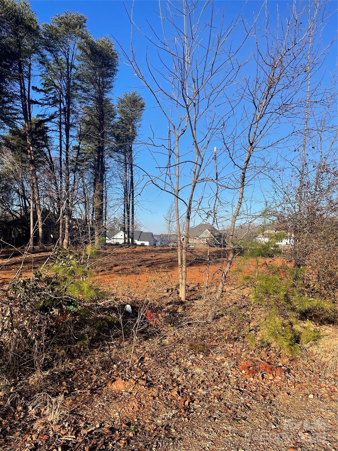 Lot 2 Conner Cove Lane Denver, NC 28037 - Photo 10 of 33