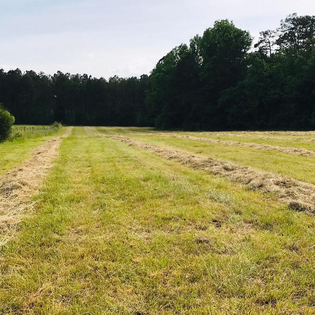 6163 Fruit Hill Road Saluda, SC 29138 - Photo 14 of 17 Gallery Image 14