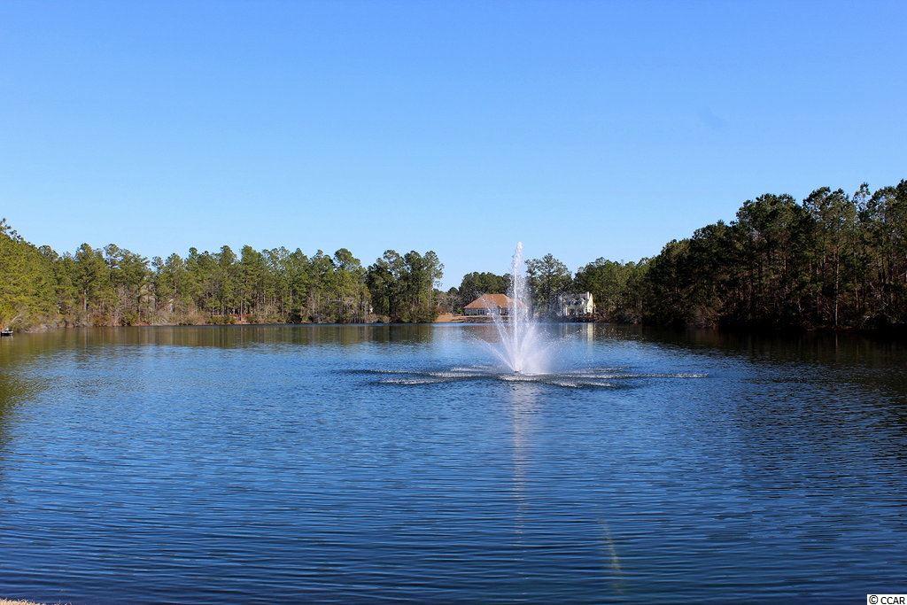 3005 Fiddler Court Loris, SC 29569 - Photo 23 of 31 Gallery Image 23