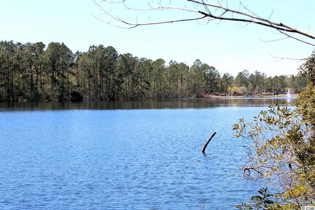 3005 Fiddler Court Loris, SC 29569 - Photo 24 of 31 Gallery Image 24