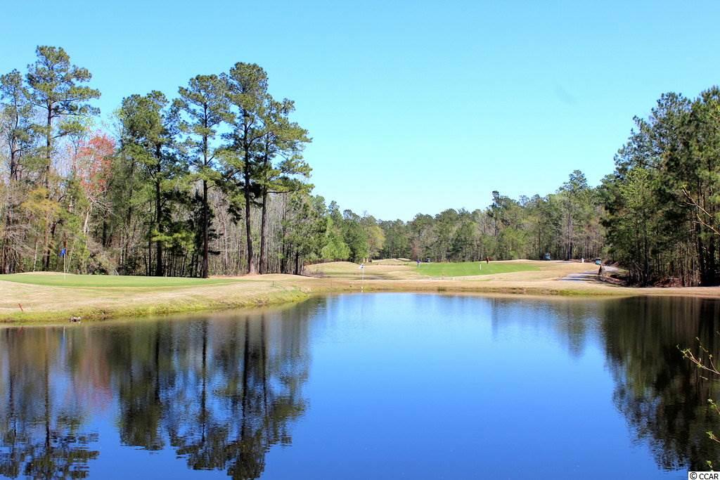 3005 Fiddler Court Loris, SC 29569 - Photo 26 of 31 Gallery Image 26