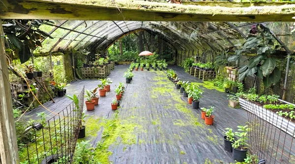 a view of swimming pool with outdoor seating