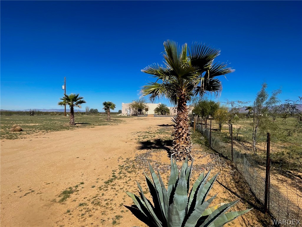 21477 South Sundance Kid Road Yucca, AZ 86438 - Photo 45 of 66 a view of a palm tree with an ocean view