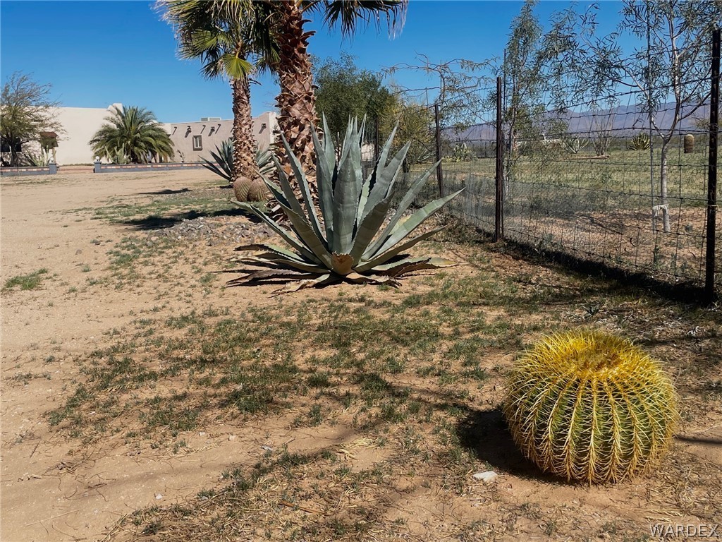 21477 South Sundance Kid Road Yucca, AZ 86438 - Photo 46 of 66 Gorgeous landscaping outside of the orchard