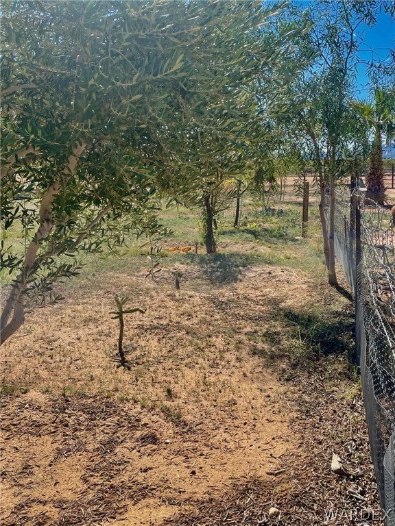 21477 South Sundance Kid Road Yucca, AZ 86438 - Photo 57 of 66 a view of a yard with a tree