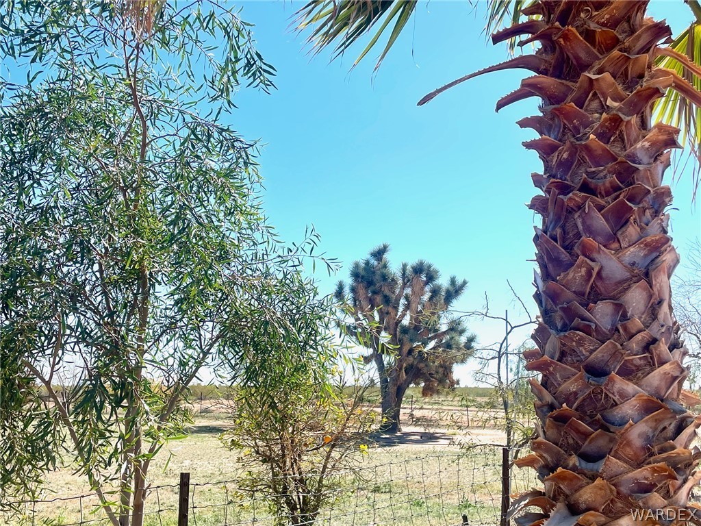 21477 South Sundance Kid Road Yucca, AZ 86438 - Photo 58 of 66 a view of a yard with plants