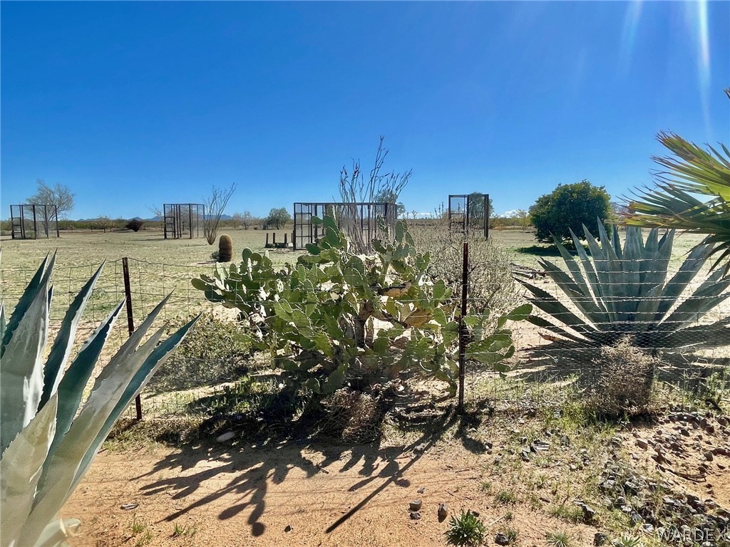 21477 South Sundance Kid Road Yucca, AZ 86438 - Photo 61 of 66 a view of a yard