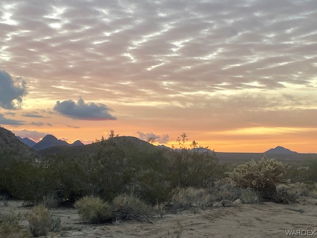 21477 South Sundance Kid Road Yucca, AZ 86438 - Photo 64 of 66 What a way to start the day!