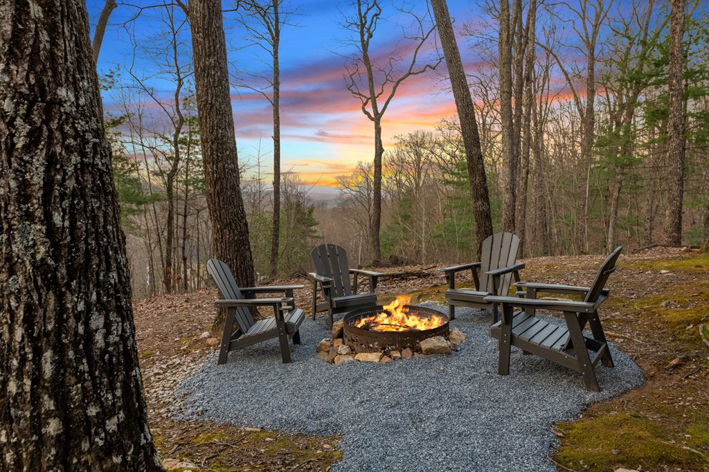 1439 Mangum's Trail Epworth, GA 30541 - Photo 29 of 37