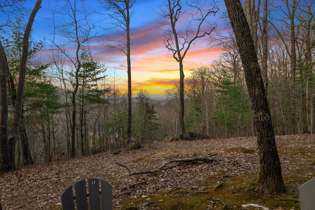 1439 Mangum's Trail Epworth, GA 30541 - Photo 32 of 37