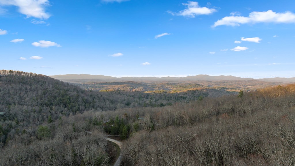 1439 Mangum's Trail Epworth, GA 30541 - Photo 37 of 37