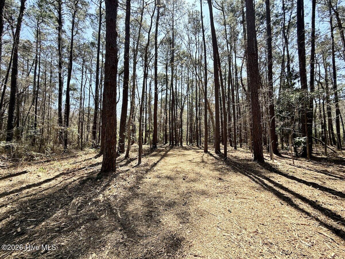 1 Creek Place Road Arapahoe, NC 28510 - Photo 12 of 28 12