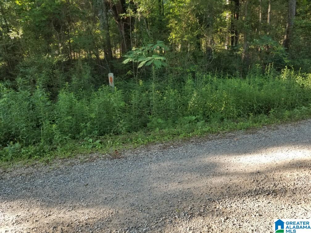 270 Oxford Road Lincoln, AL 35096 - Photo 16 of 21