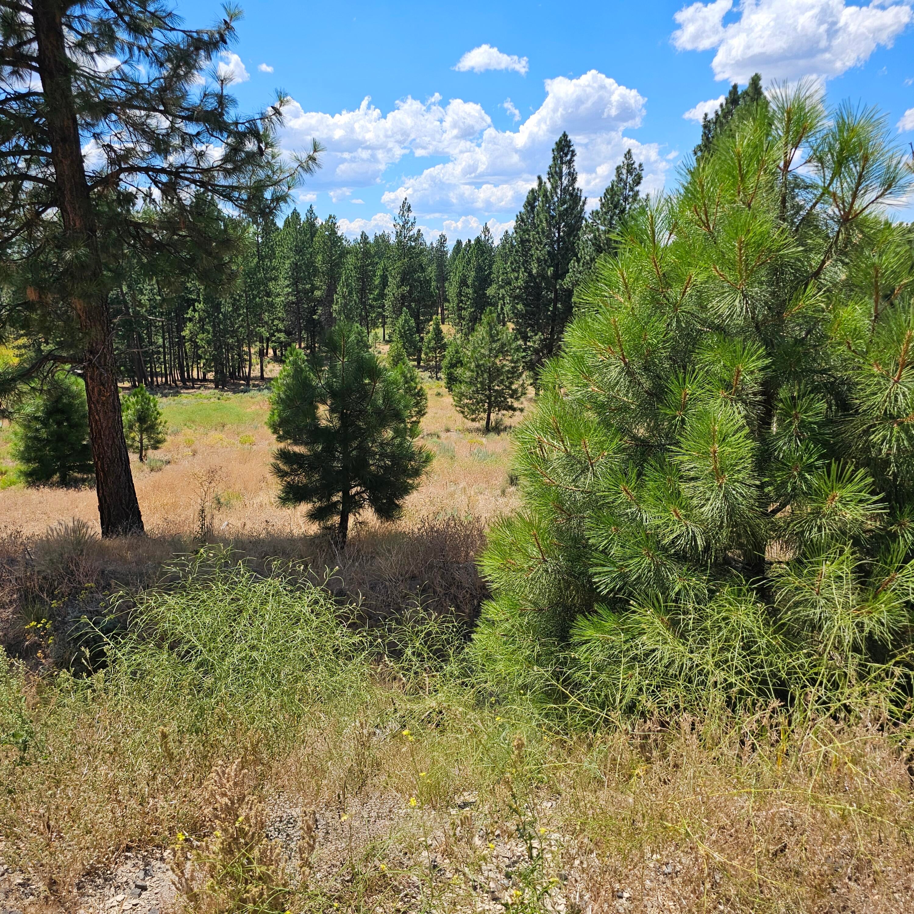 33005 Godowa Springs Road Beatty, OR 97621 - Photo 29 of 36 20250728_142408