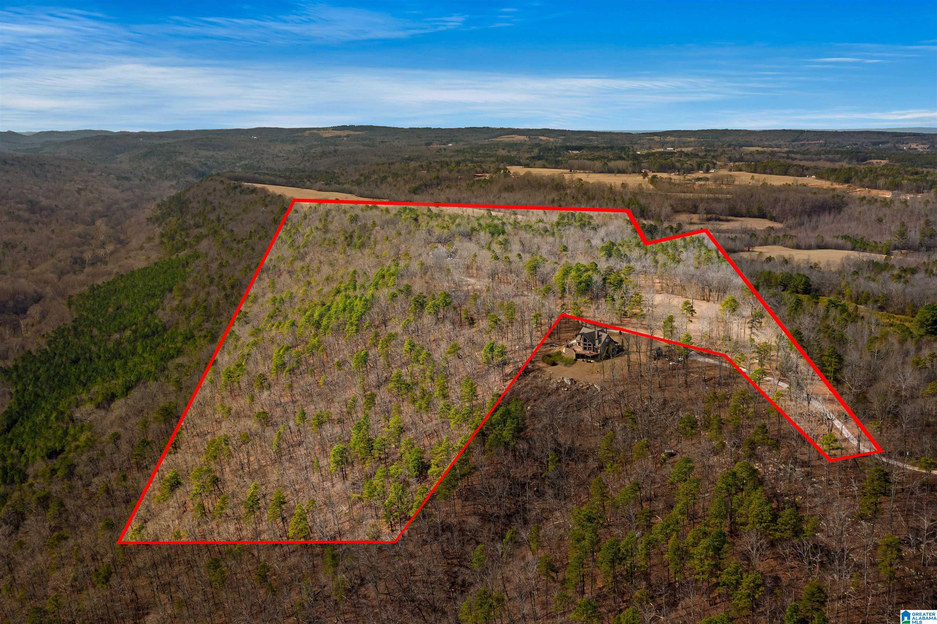 575 Mountain View Lane Springville, AL 35146 - Photo 59 of 84
