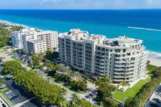 a close up of a plant in a garden
