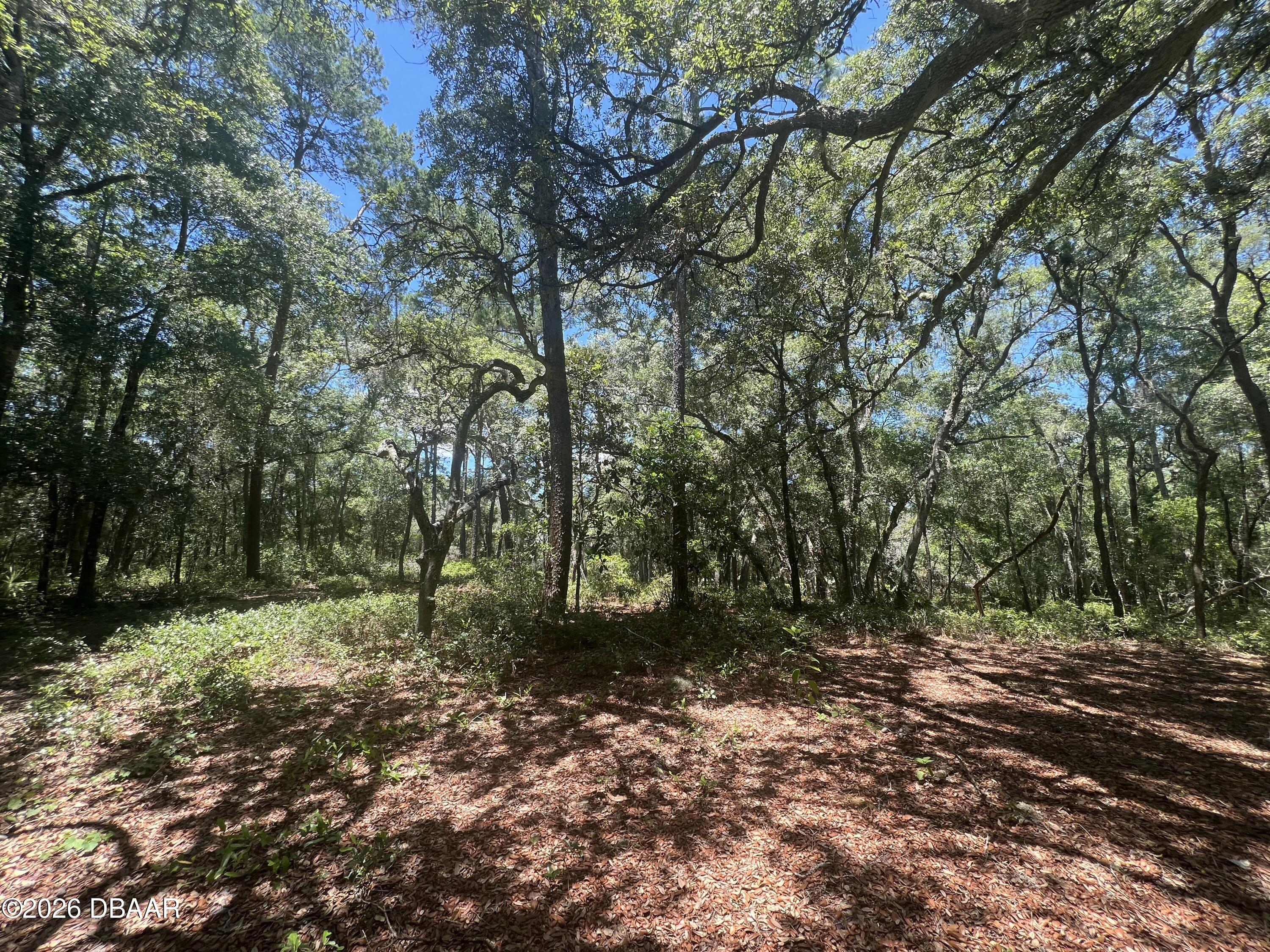 1425 Renbar Road De Leon Springs, FL 32130 - Photo 14 of 16 IMG_3571