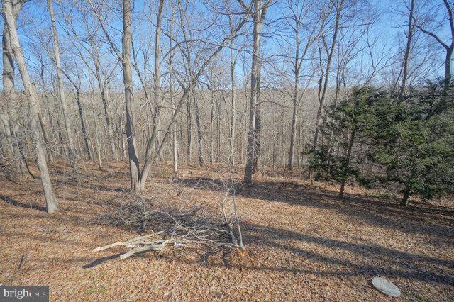 2416 Raintree Avenue Westminster, MD 21157 - Photo 5 of 27 a view of a backyard of the house