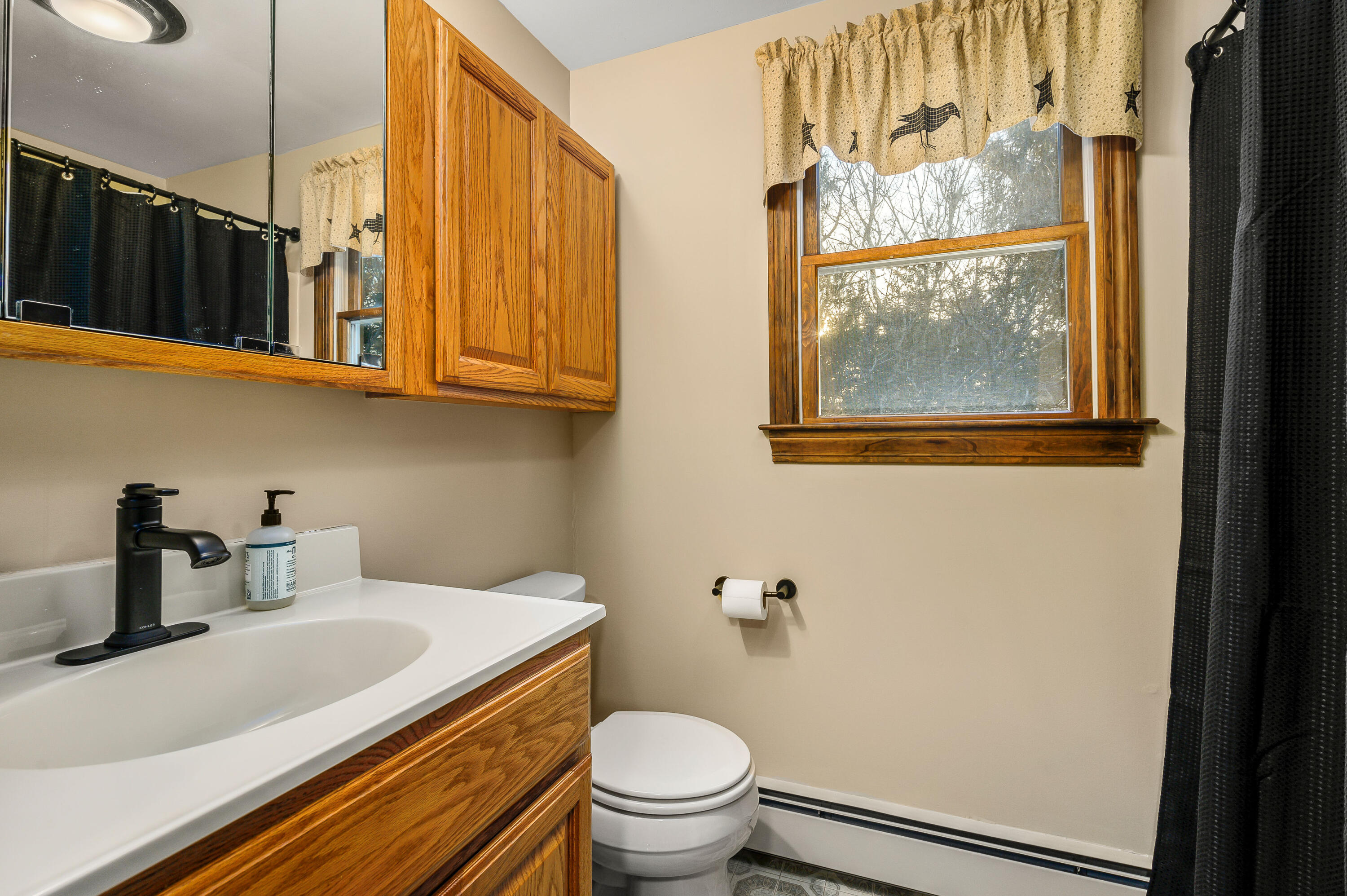 24 Blueberry Island Road Orleans, MA 02653 - Photo 20 of 39 a bathroom with a sink a toilet and a window