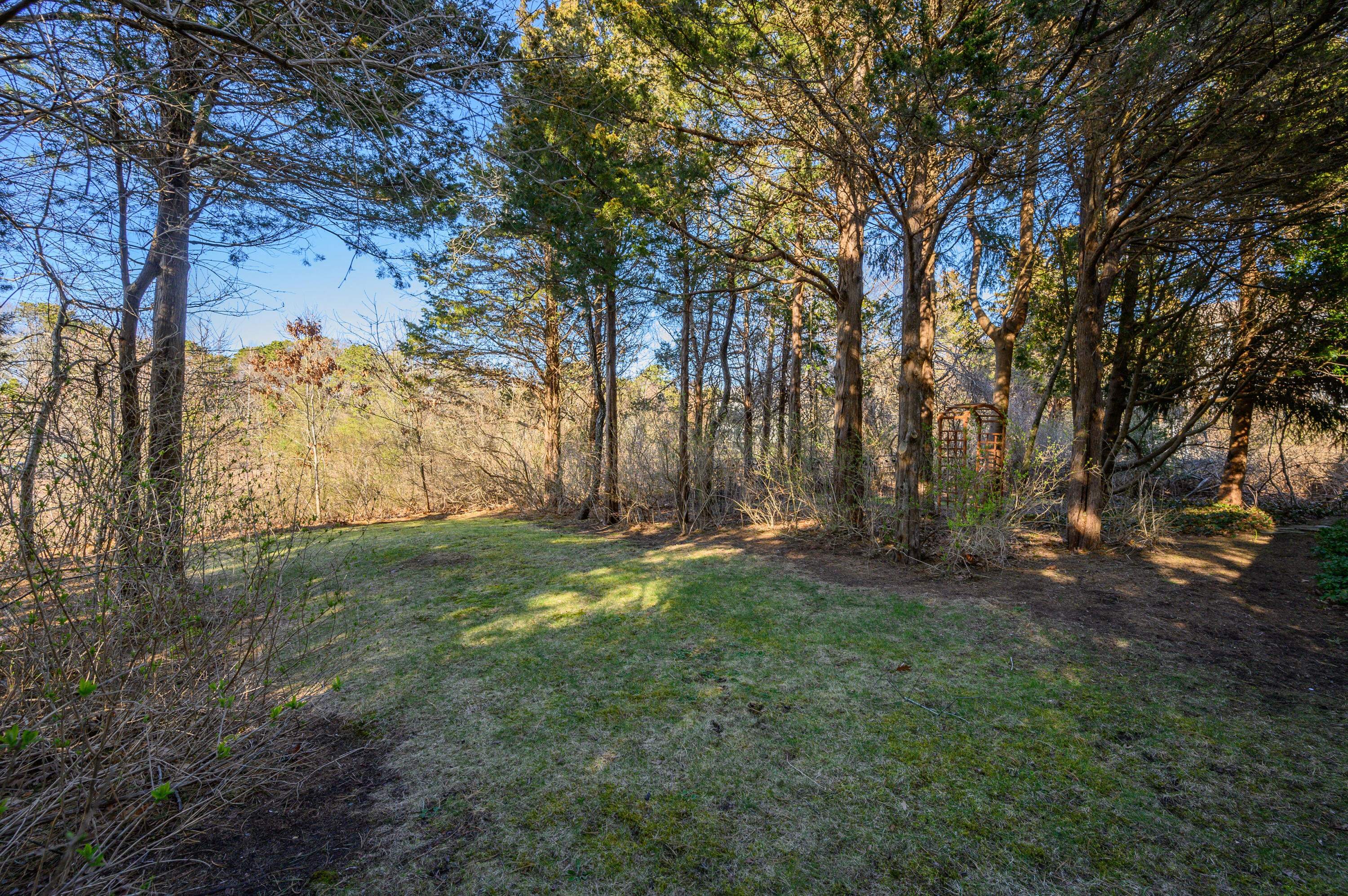 24 Blueberry Island Road Orleans, MA 02653 - Photo 23 of 39 a backyard of a house with lots of green space