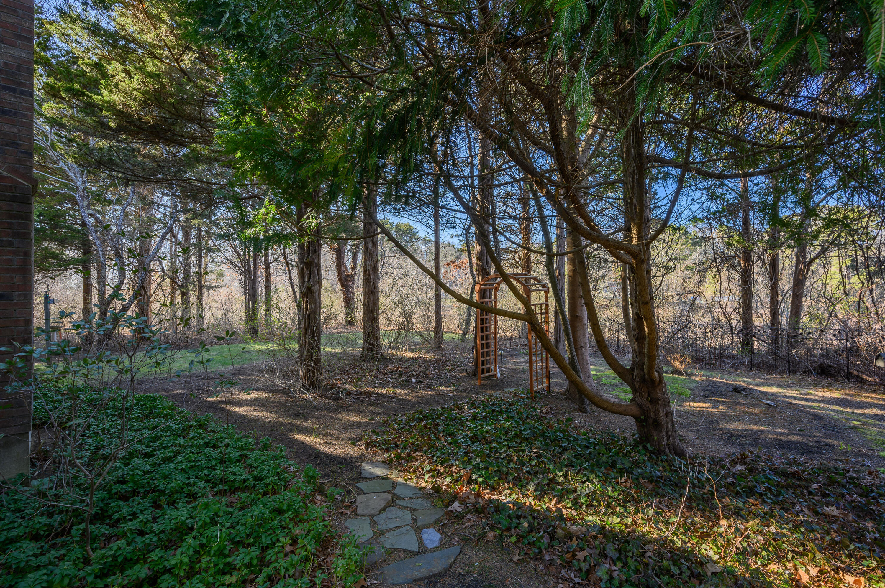 24 Blueberry Island Road Orleans, MA 02653 - Photo 25 of 39 a view of backyard with green space