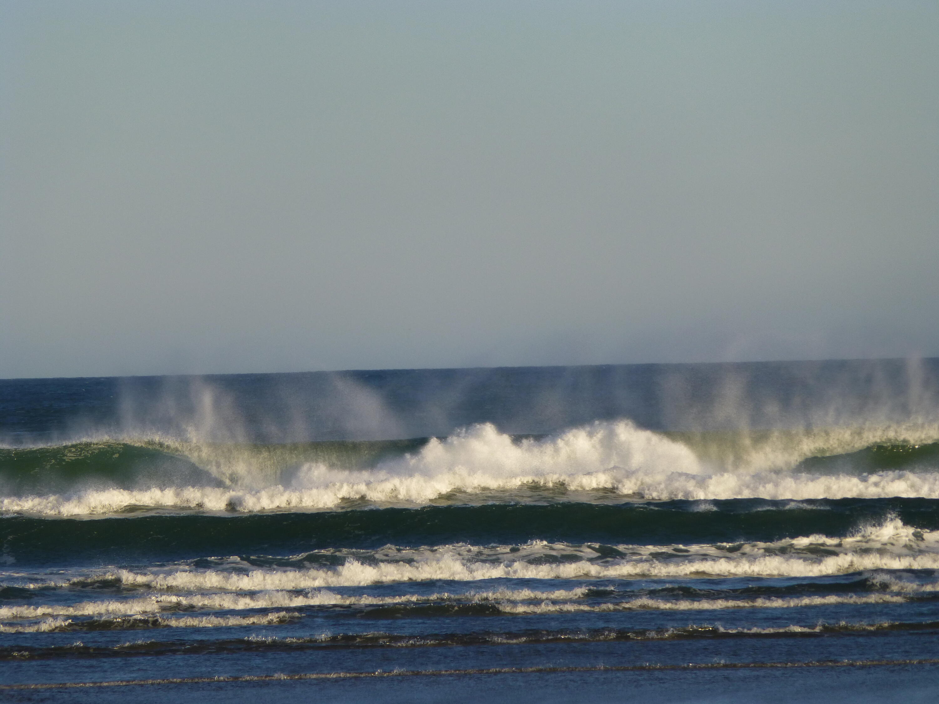 24 Blueberry Island Road Orleans, MA 02653 - Photo 39 of 39 a view of a stove