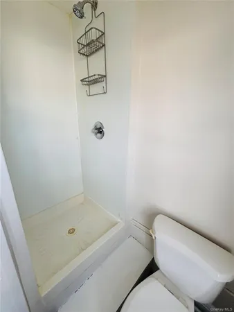 a bathroom with a shower and toilet
