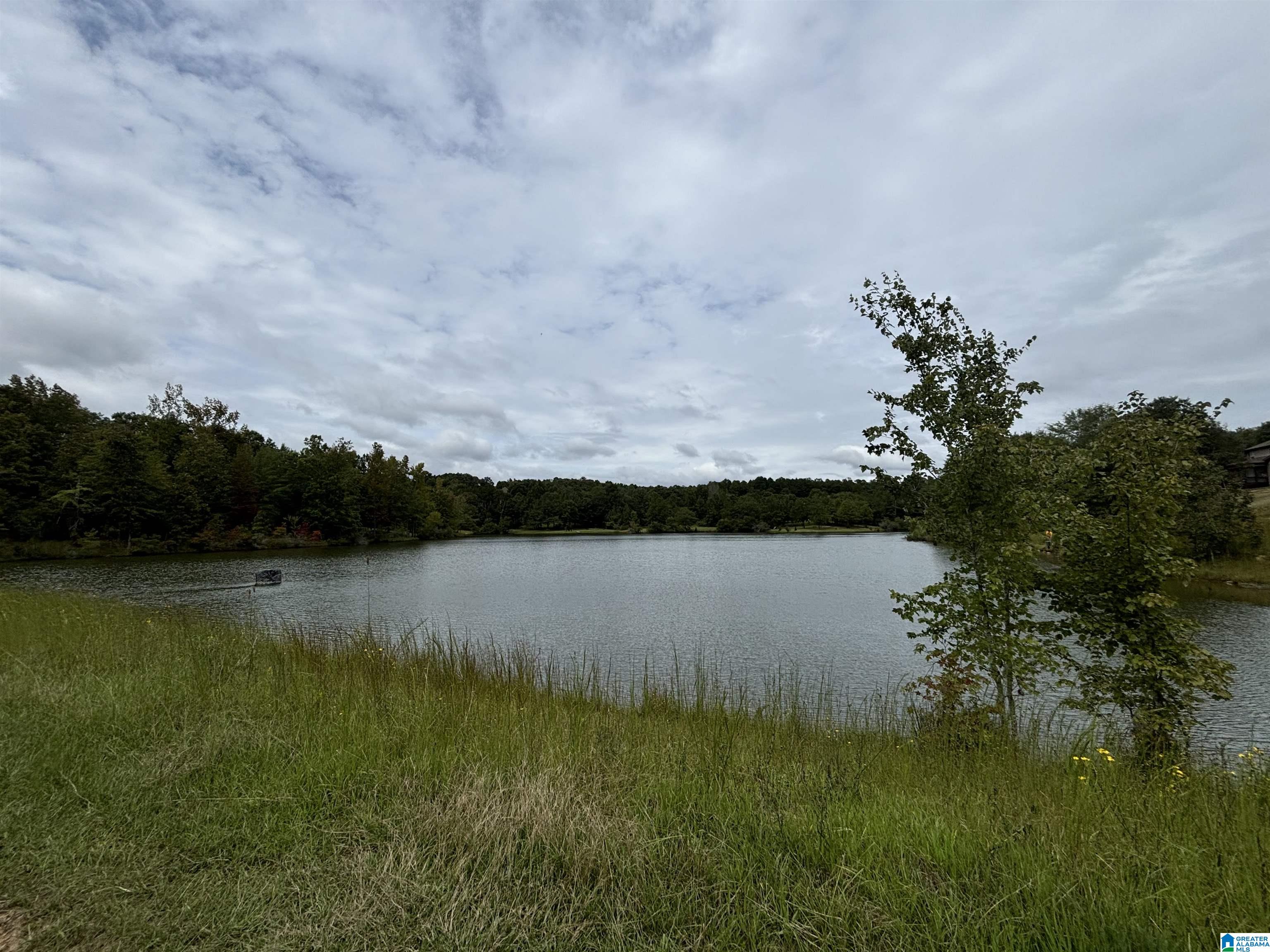 601 Emerald Trace Chelsea, AL 35043 - Photo 35 of 35