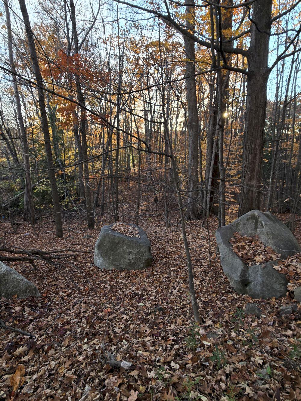 140 Jay Me 04239 Jay, ME 04239 - Photo 2 of 4 20251028_164414_result