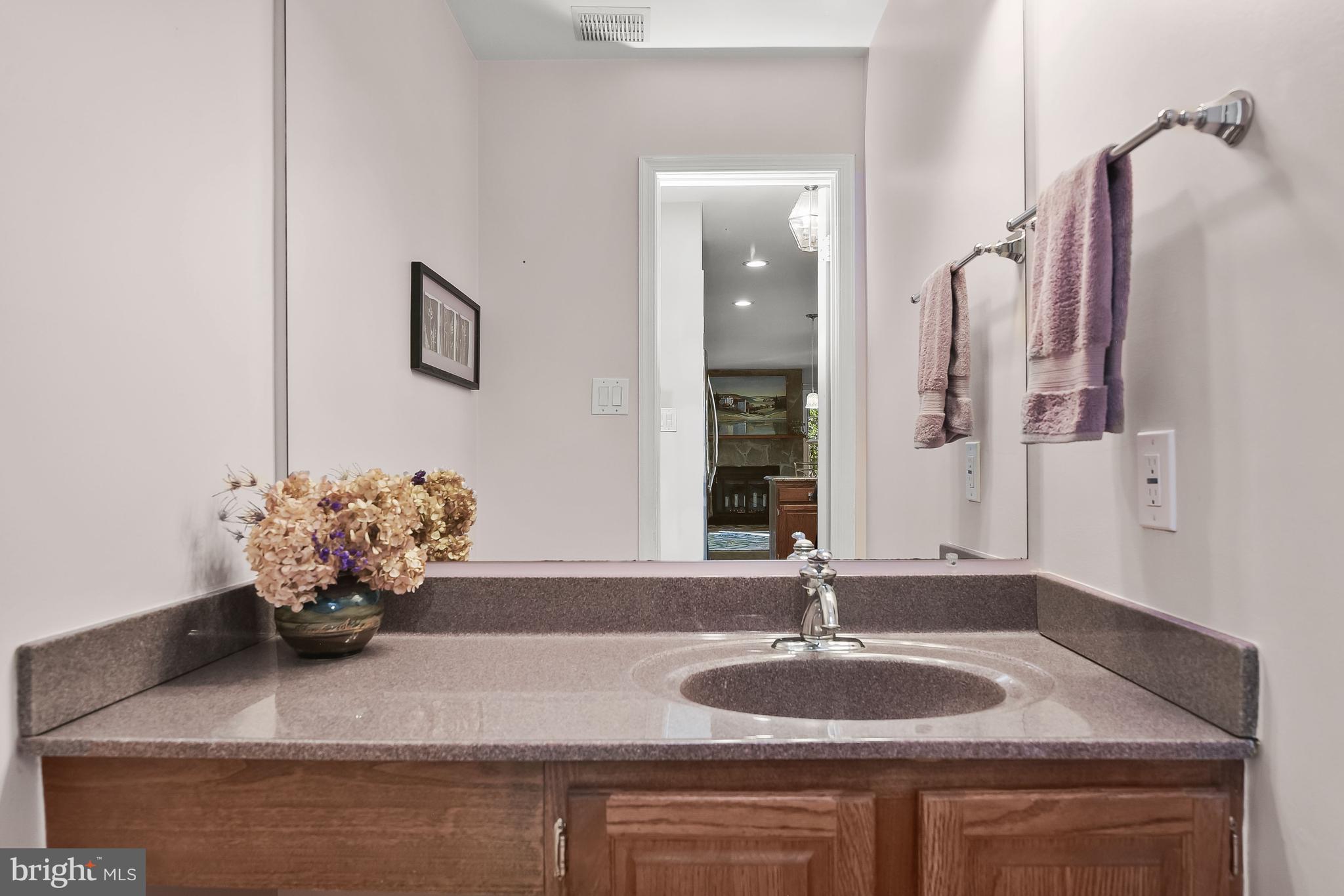 7369 Swan Point Way, Unit 109 Columbia, MD 21045 - Photo 19 of 65 Powder room