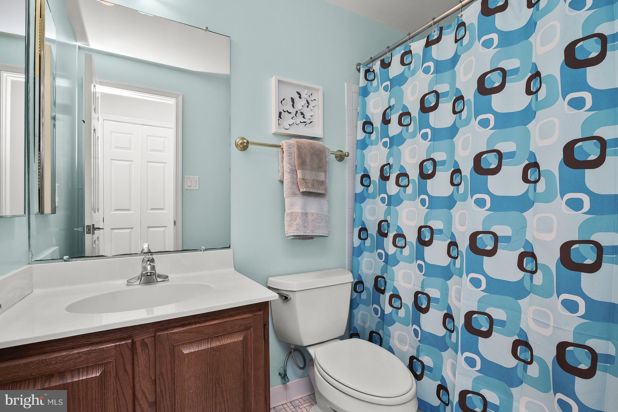 7369 Swan Point Way, Unit 109 Columbia, MD 21045 - Photo 31 of 65 Lower level full bath