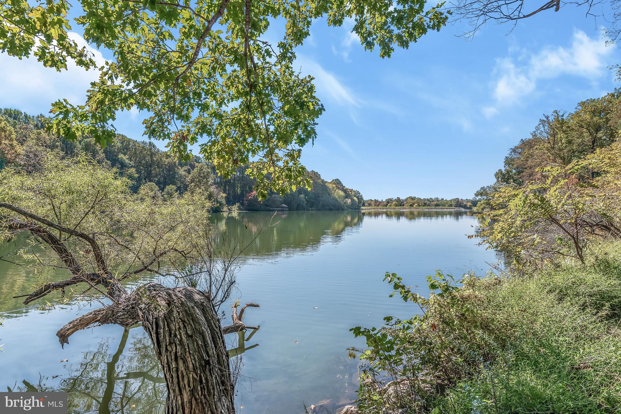 7369 Swan Point Way, Unit 109 Columbia, MD 21045 - Photo 55 of 65 Lake Elkhorn