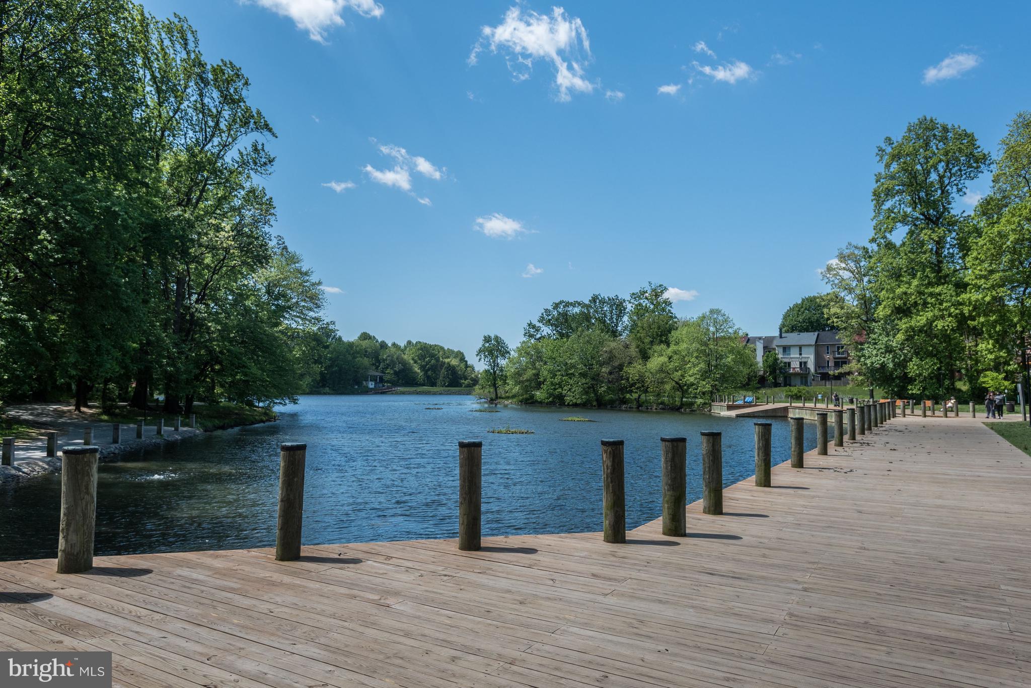 7369 Swan Point Way, Unit 109 Columbia, MD 21045 - Photo 56 of 65 Lake Elkhorn