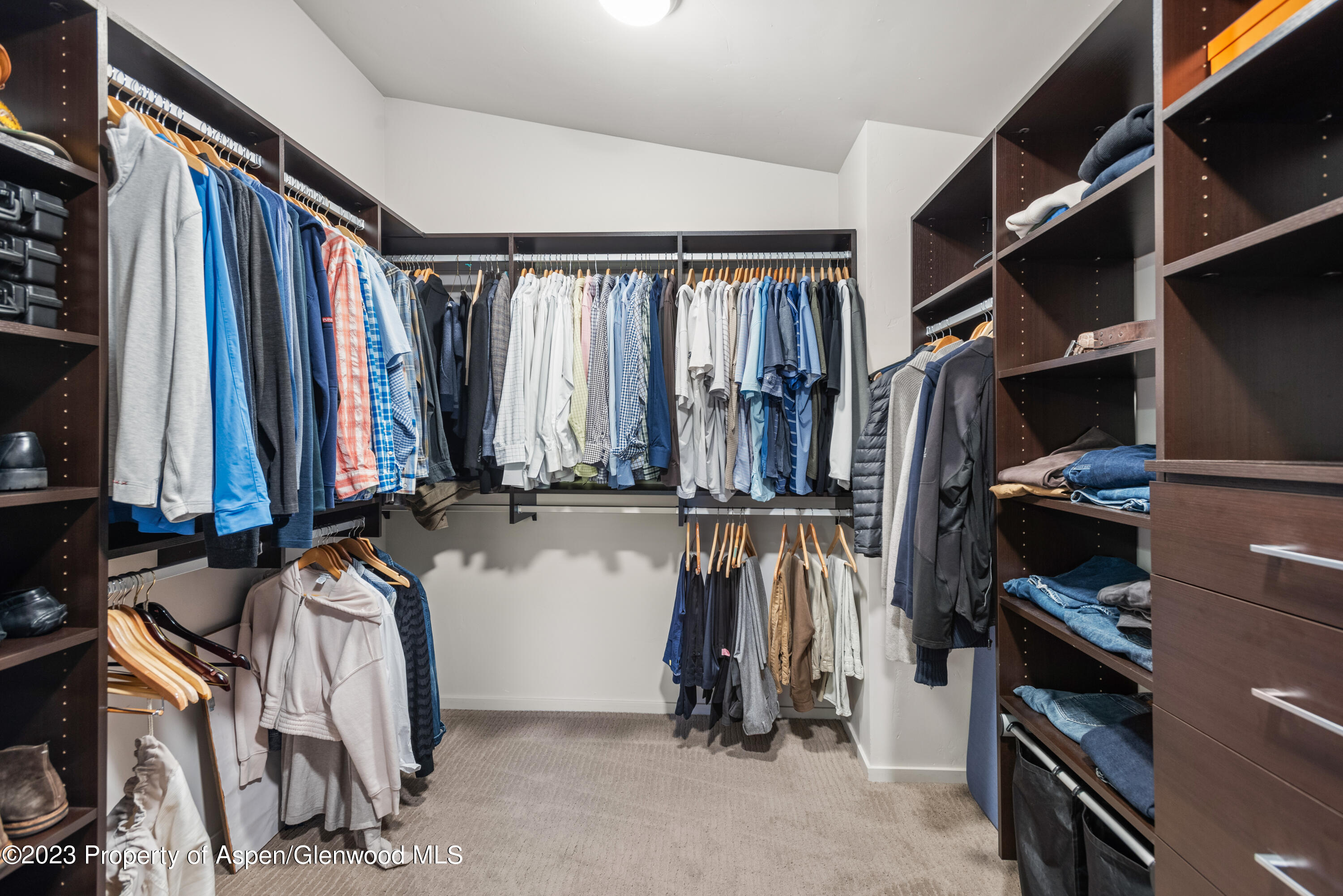 331 Branding Way Basalt, CO 81621 - Photo 14 of 28 a view of walk in closet with clothes and shoes