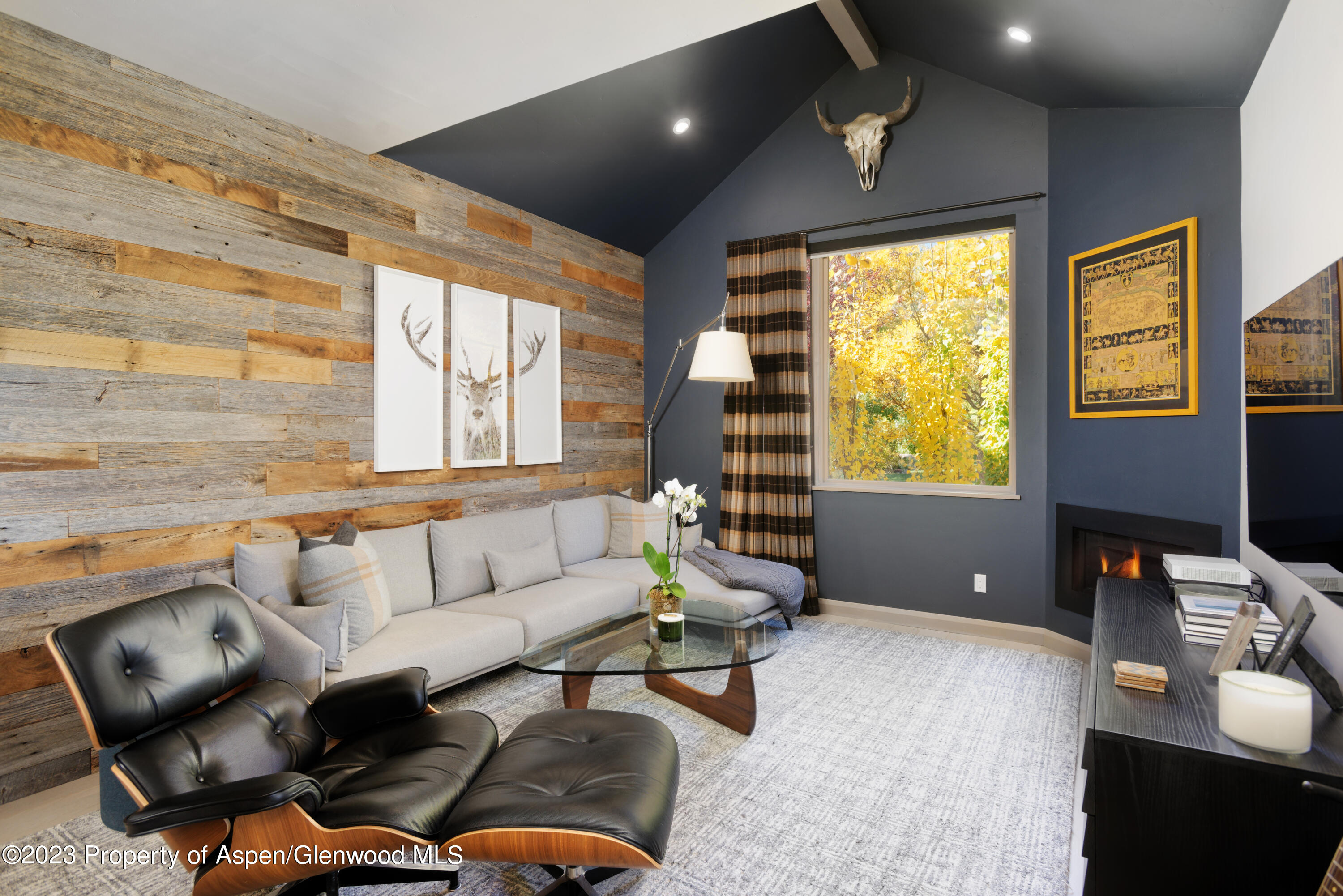 331 Branding Way Basalt, CO 81621 - Photo 7 of 28 a living room with furniture and a flat screen tv